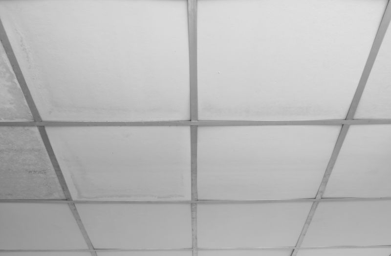 Ceiling Panel Repair in Saint Augustine, FL