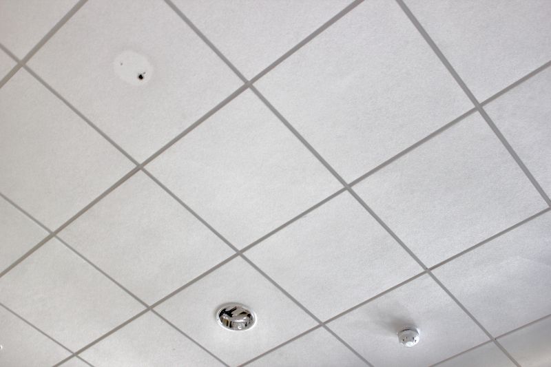 Ceiling Tiles Installation in Longmont, CO