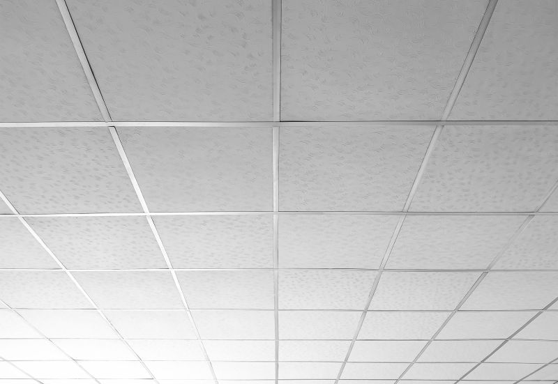 Ceiling Tiles Installation in Longmont, CO
