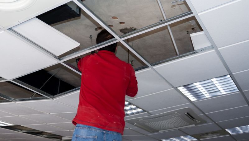 Ceiling Tiles Repair in Longmont, CO