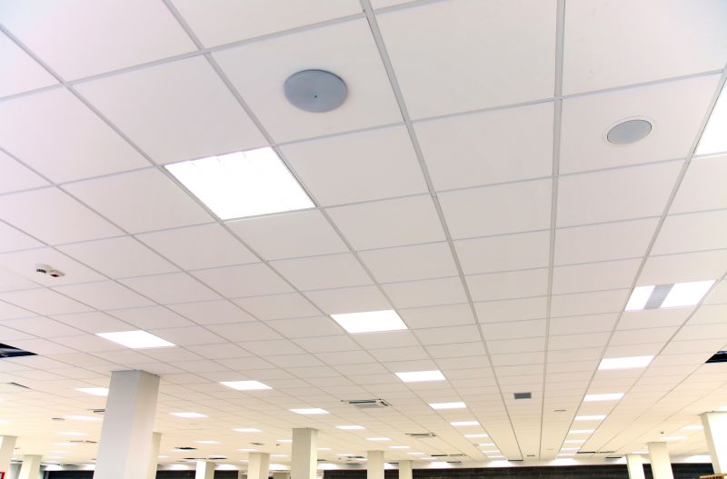 Grid Ceiling Repair in Longmont, CO