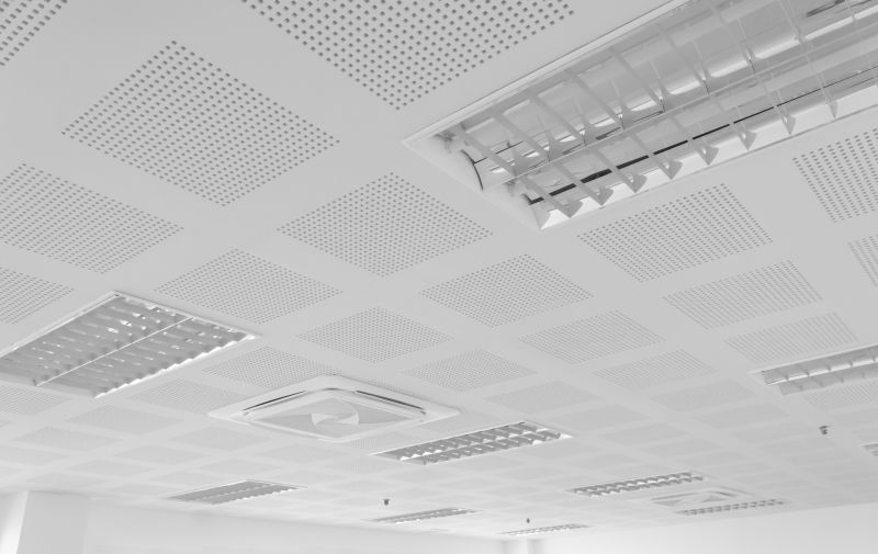 Grid Ceiling Repair in Saint Augustine, FL