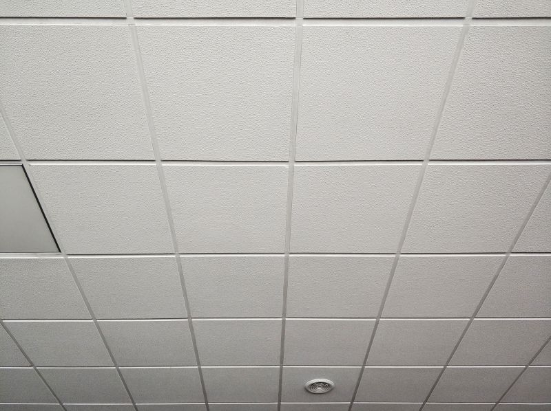 Grid Ceiling Repair in Saint Augustine, FL