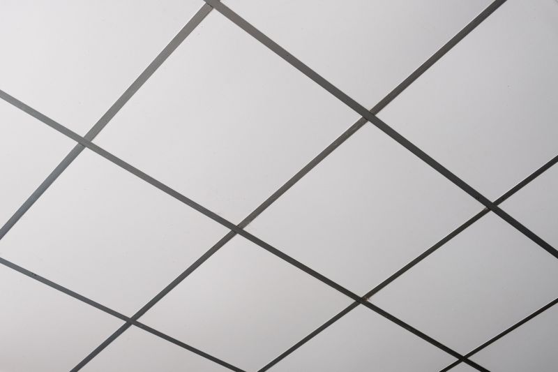 Tile Ceiling Installation in Longmont, CO